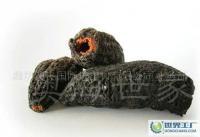 森河瑞星貿易 連接全球貿易的橋梁與紐帶